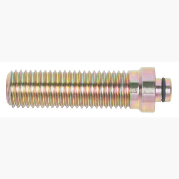 FOT_PRO_ALG_AUTO_440.3049_SALL_AING_V1