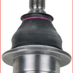 FOT_ANW_ALG_AUTO_440.0240.AW5_SALL_AING_V1