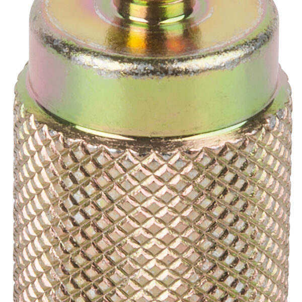 FOT_PRO_ALG_AUTO_440.0137_SALL_AING_V1