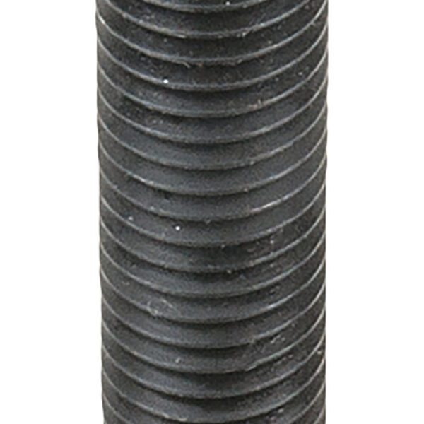 FOT_PRO_ALG_AUTO_440.0102_SALL_AING_V1