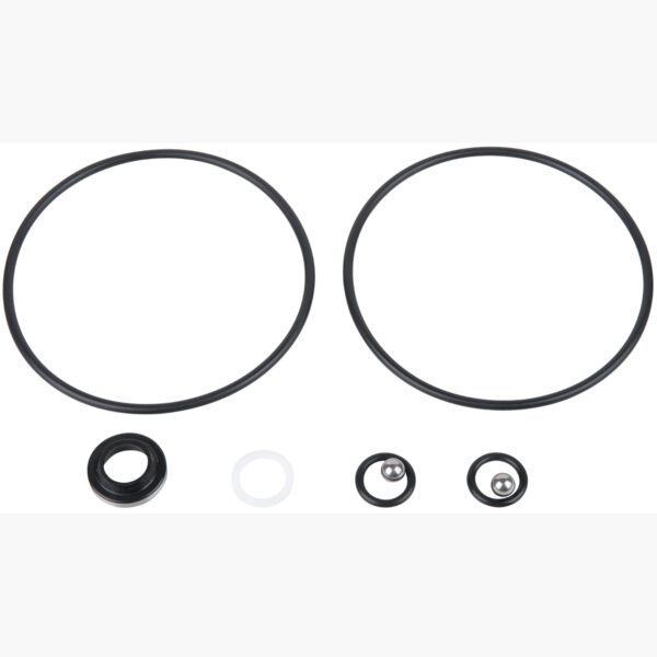 FOT_PRO_ALG_AUTO_440.0070_SALL_AING_V1