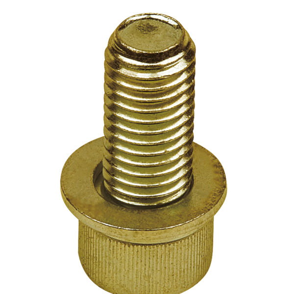 FOT_PRO_ALG_AUTO_440.0068_SALL_AING_V1
