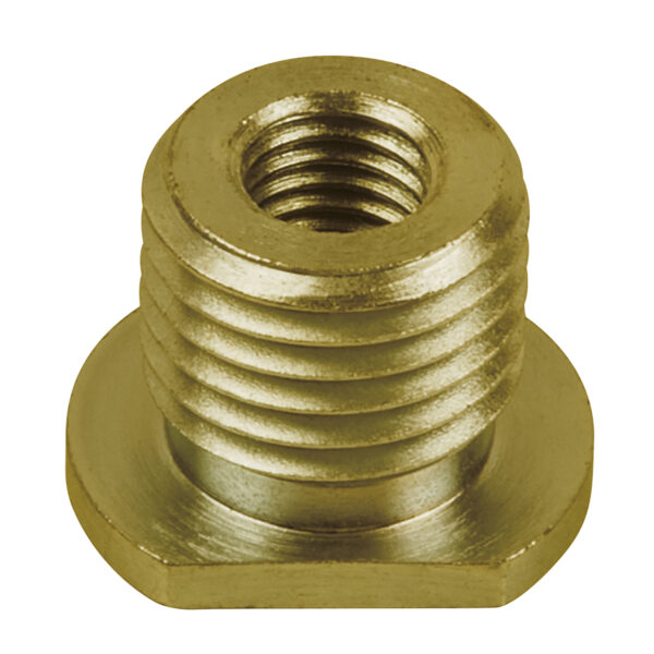 FOT_PRO_ALG_AUTO_440.0046_SALL_AING_V1