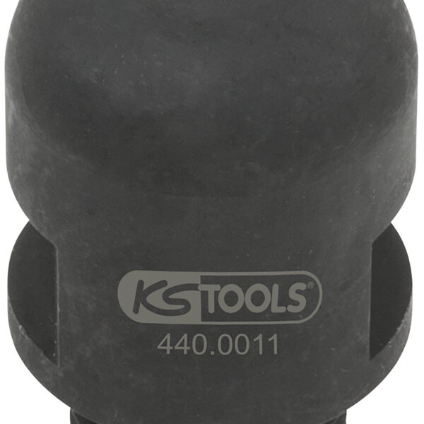FOT_PRO_ALG_AUTO_440.0011_SALL_AING_V1