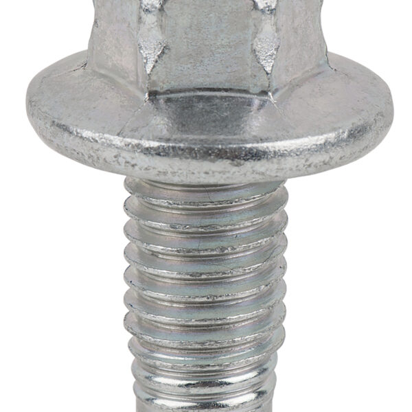 FOT_PRO_ALG_AUTO_430.X065(1-2)_SALL_AING_V1