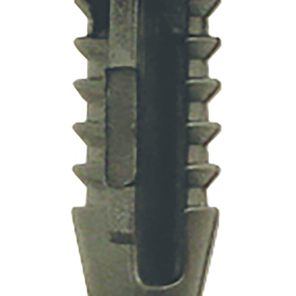 FOT_PRO_ALG_AUTO_420.0568_SALL_AING_V1