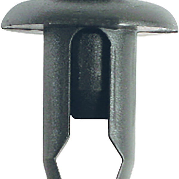 FOT_PRO_ALG_AUTO_420.0563_SALL_AING_V1