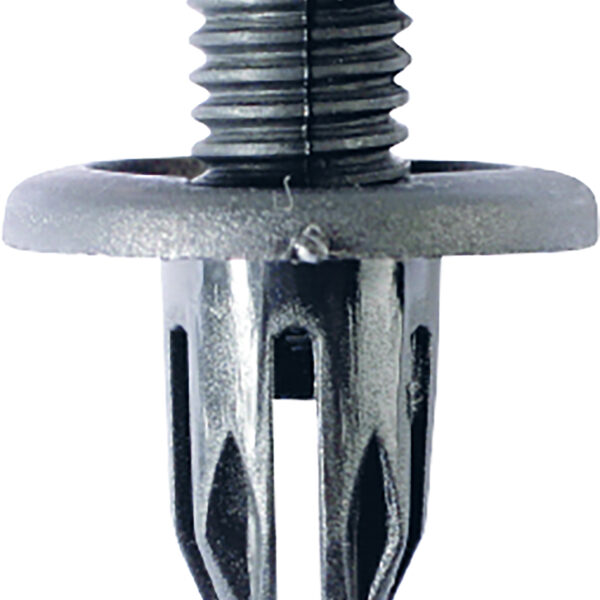 FOT_PRO_ALG_AUTO_420.0063_SALL_AING_V1