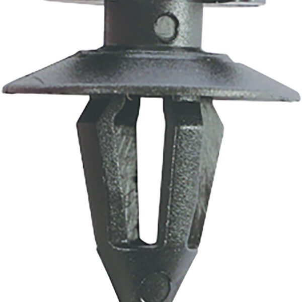 FOT_PRO_ALG_AUTO_420.0053_SALL_AING_V1