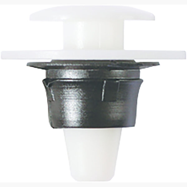 FOT_PRO_ALG_AUTO_420.0012_SALL_AING_V1