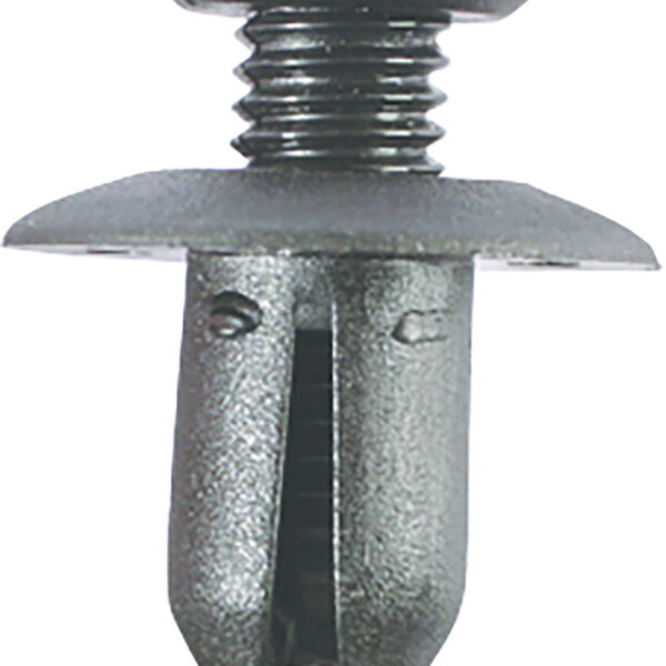 FOT_PRO_ALG_AUTO_420.0412_SALL_AING_V1