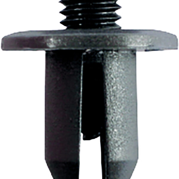 FOT_PRO_ALG_AUTO_420.0406_SALL_AING_V1