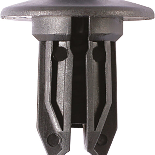 FOT_PRO_ALG_AUTO_420.0308_SALL_AING_V1