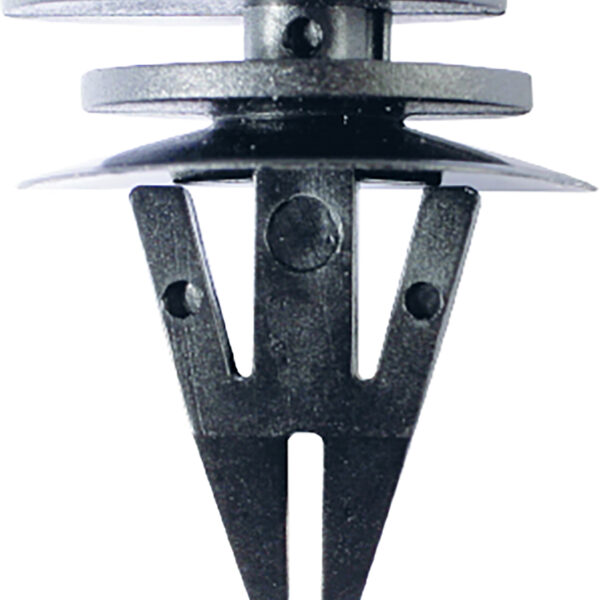 FOT_PRO_ALG_AUTO_420.0065_SALL_AING_V1