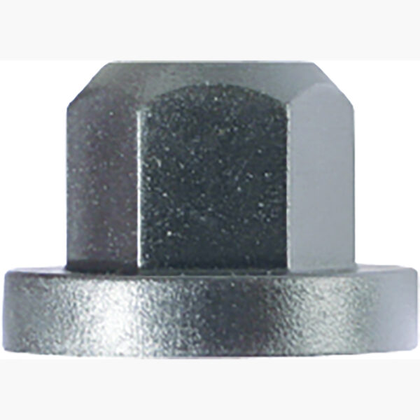 FOT_PRO_ALG_AUTO_420.0054_SALL_AING_V1