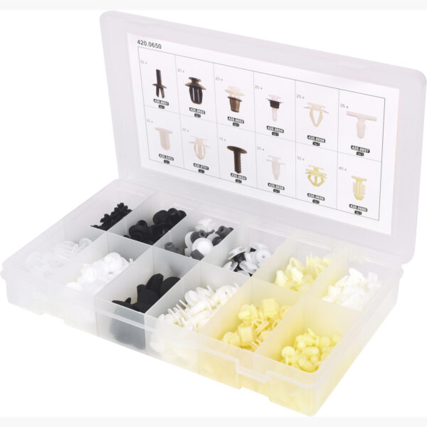 FOT_PRO_ALG_420.0650_SALL_AING_V1