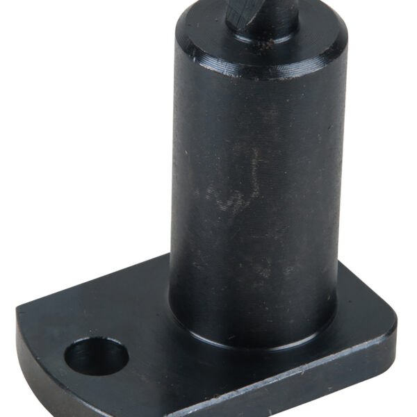 FOT_PRO_ALG_AUTO_400.3001_SALL_AING_V1