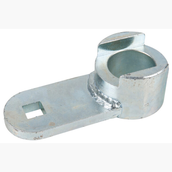 FOT_PRO_ALG_AUTO_400.0954_SALL_AING_V1