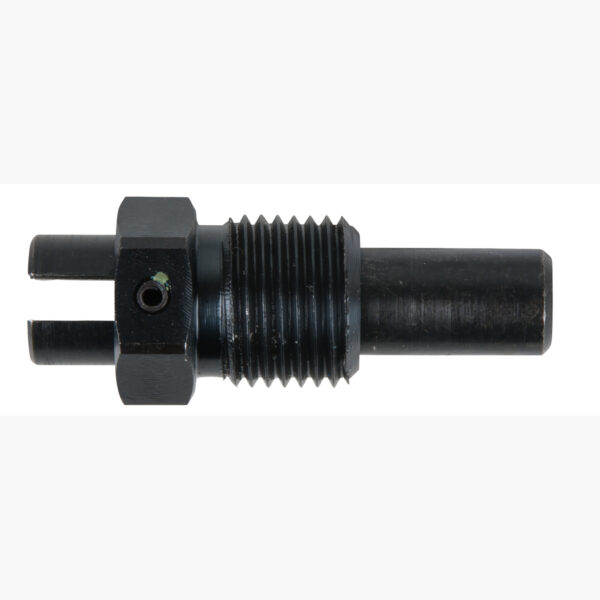 FOT_PRO_ALG_AUTO_400.0782_SALL_AING_V1