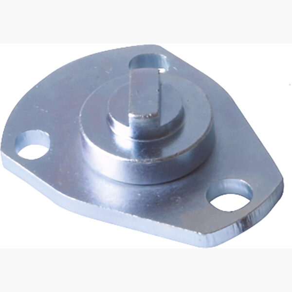 FOT_PRO_ALG_AUTO_400.0451_SALL_AING_V1