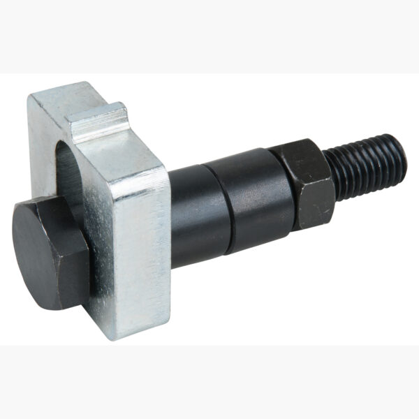 FOT_PRO_ALG_AUTO_400.0439_SALL_AING_V1