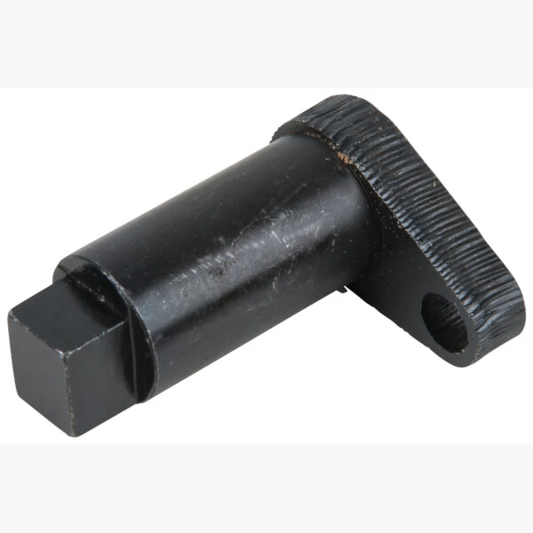 FOT_PRO_ALG_AUTO_400.0319_SALL_AING_V1