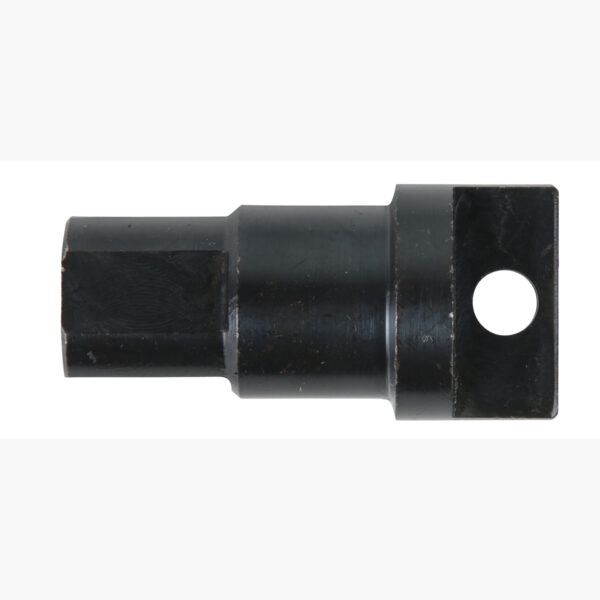 FOT_PRO_ALG_AUTO_400.0027_SALL_AING_V1