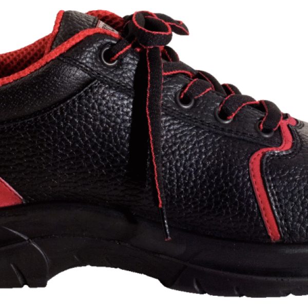 FOT_PRO_VAR_FAN_310.0600.2_SALL_AING_V1