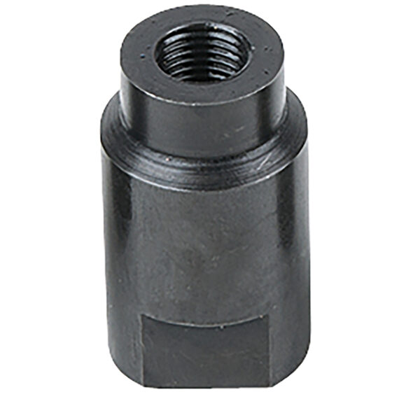 FOT_PRO_ALG_AUTO_152.1461_SALL_AING_V1