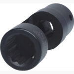 FOT_PRO_ALG_150.9541_SALL_AING_V1