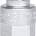 FOT_PRO_VAR_150.9405.6_SALL_AING_V1