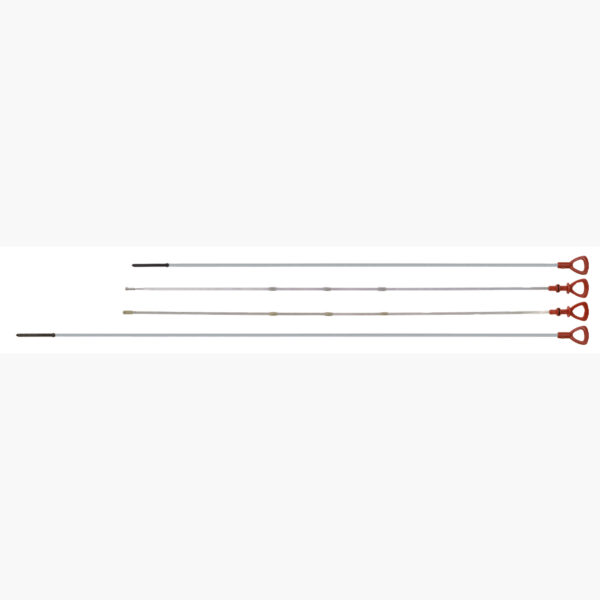 FOT_PRO_ALG_AUTO_150.9280_SALL_AING_V1