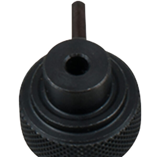 FOT_PRO_ALG_AUTO_150.7036_SALL_AING_V1