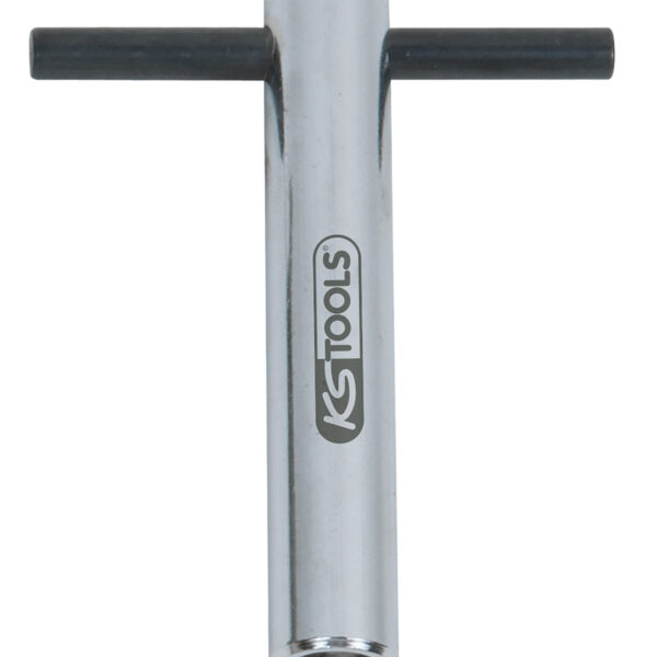 FOT_PRO_ALG_AUTO_150.7013_SALL_AING_V1