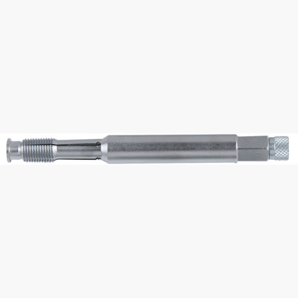 FOT_PRO_ALG_AUTO_150.6505_SALL_AING_V1
