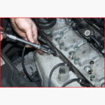 FOT_ANW_ALG_AUTO_150.501X(6-8).AW1_SALL_AING_V1