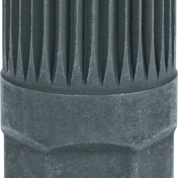 FOT_PRO_ALG_AUTO_150.3203_SALL_AING_V1