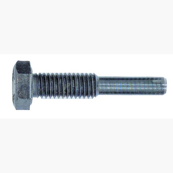 FOT_PRO_ALG_AUTO_150.318X(6-8)_SALL_AING_V1