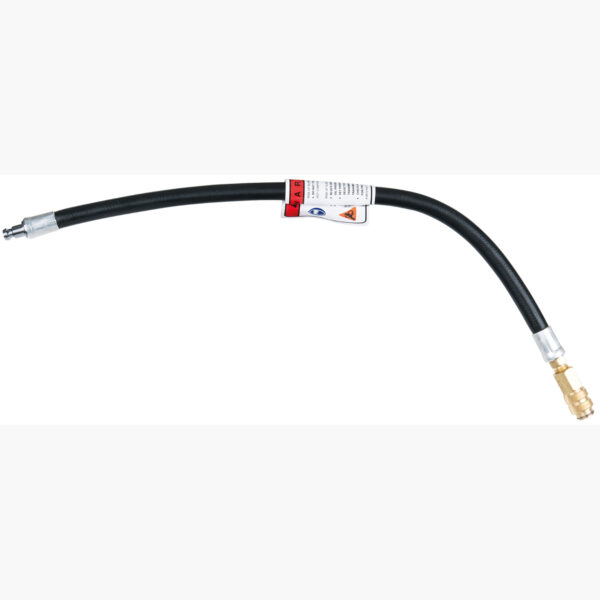 FOT_PRO_ALG_AUTO_150.1783_SALL_AING_V1