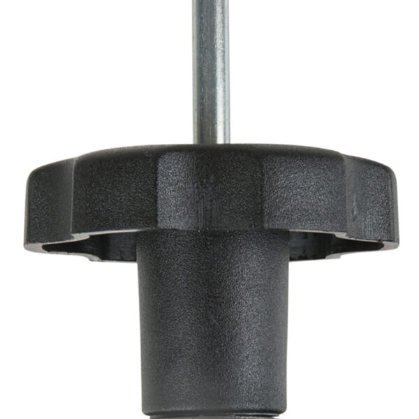 FOT_PRO_ALG_AUTO_150.1698_SALL_AING_V1