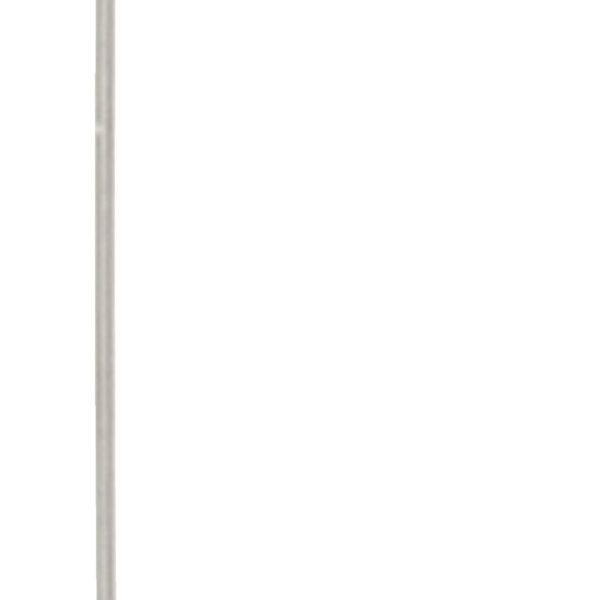 FOT_PRO_ALG_AUTO_150.1613_SALL_AING_V1