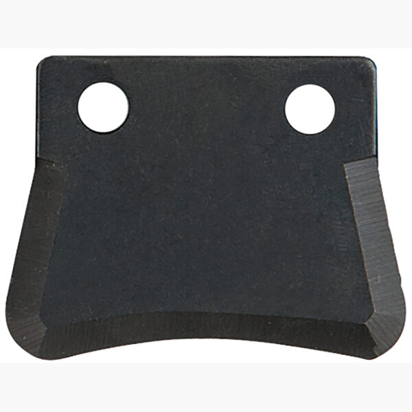 FOT_PRO_ALG_AUTO_150.1542_SALL_AING_V1