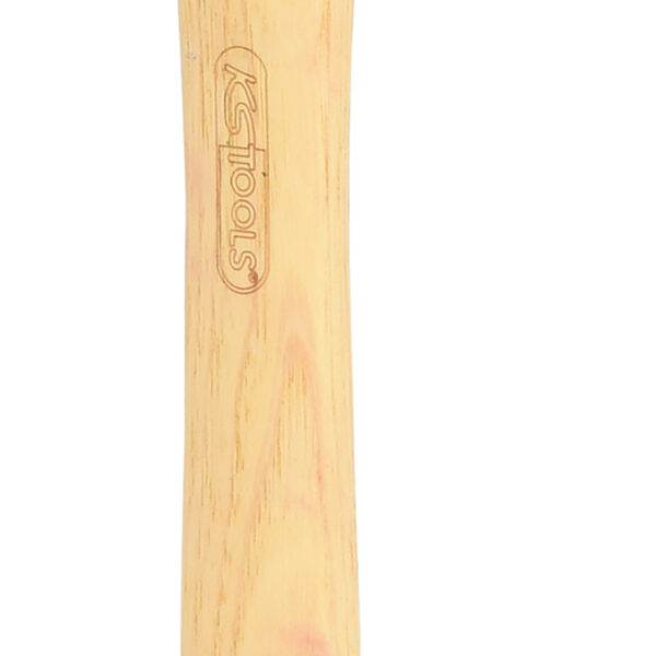 FOT_PRO_VAR_142.1050.2_SALL_AING_V1