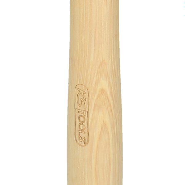 FOT_PRO_VAR_140.5211.2_SALL_AING_V1