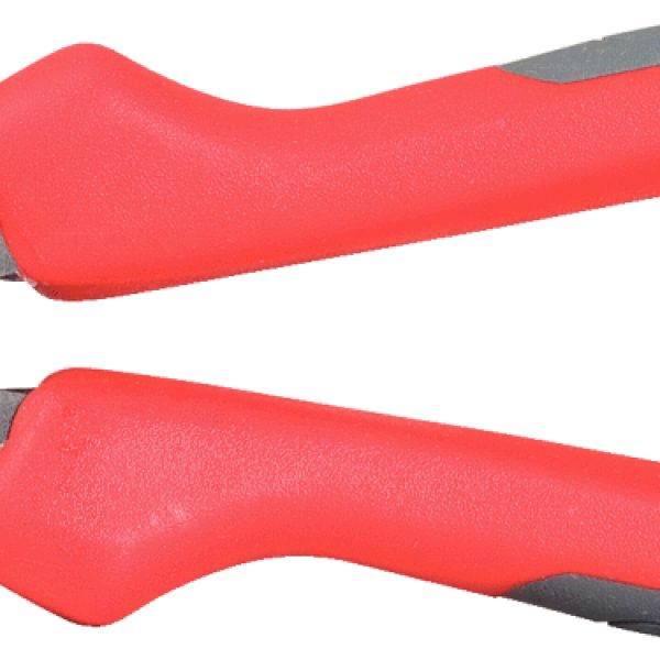 FOT_PRO_ALG_ZA_119.2021_SALL_AING_V1