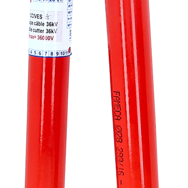 FOT_PRO_ALG_117.0134_SALL_AING_V1