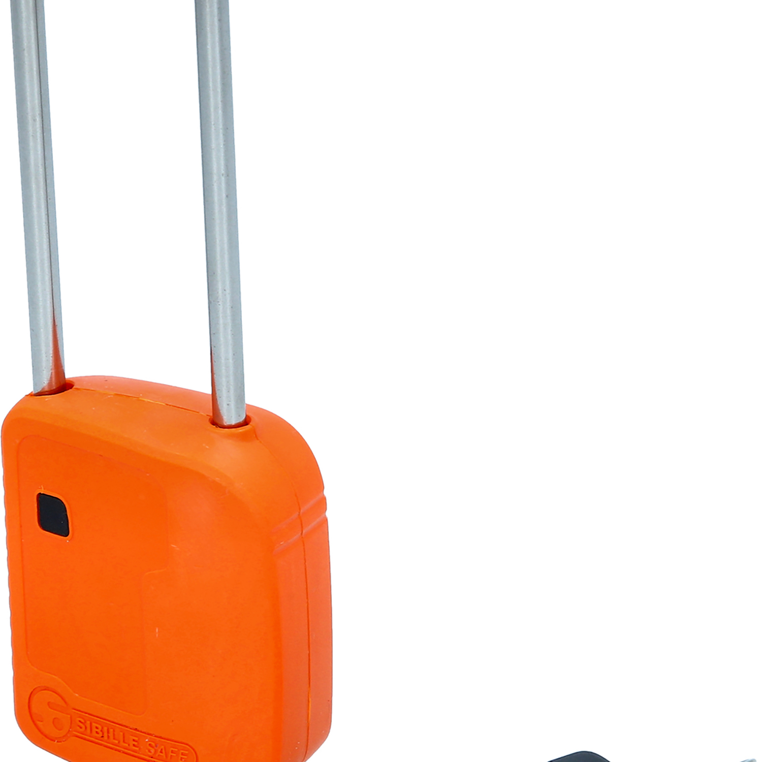 FOT_PRO_ALG_117.0219_SALL_AING_V1