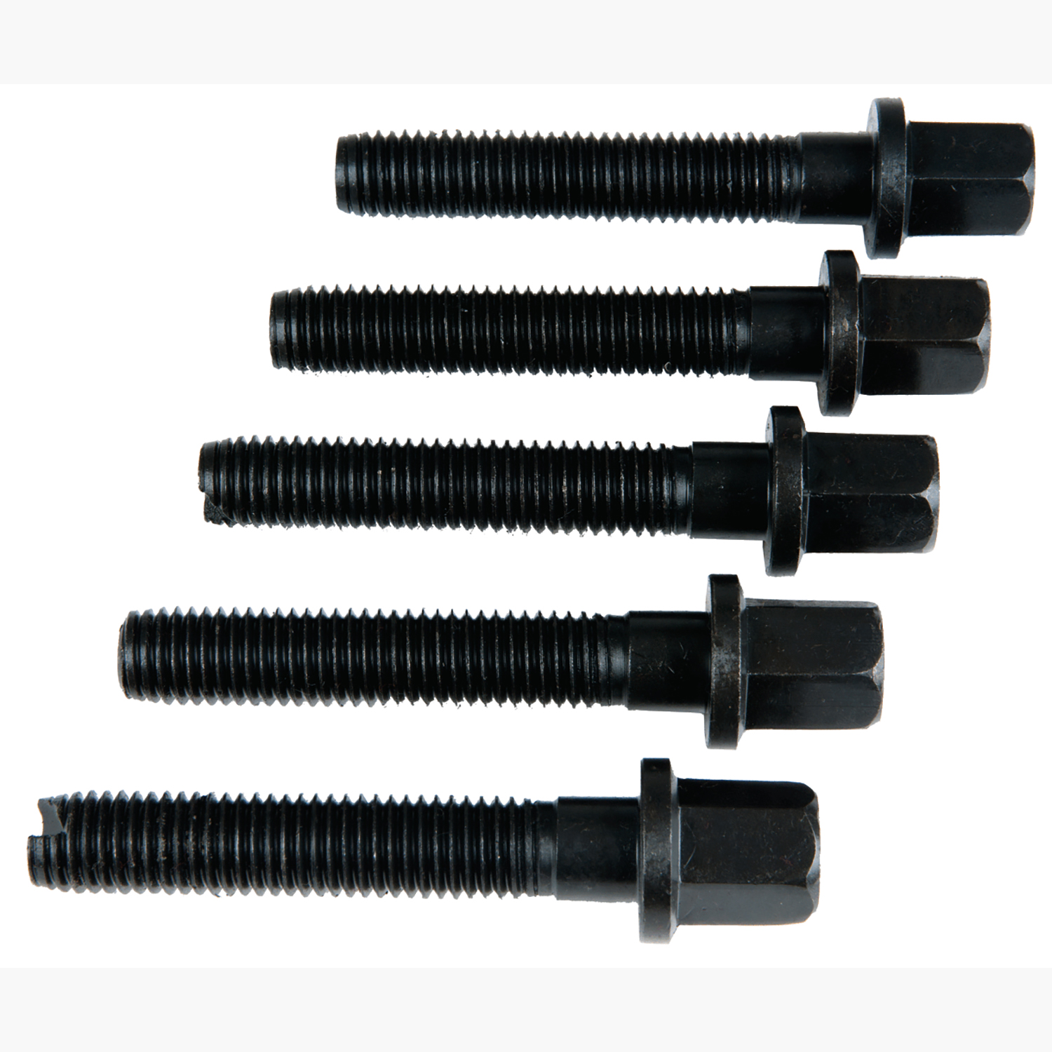 FOT_PRO_ALG_AUTO_700.1486_SALL_AING_V1