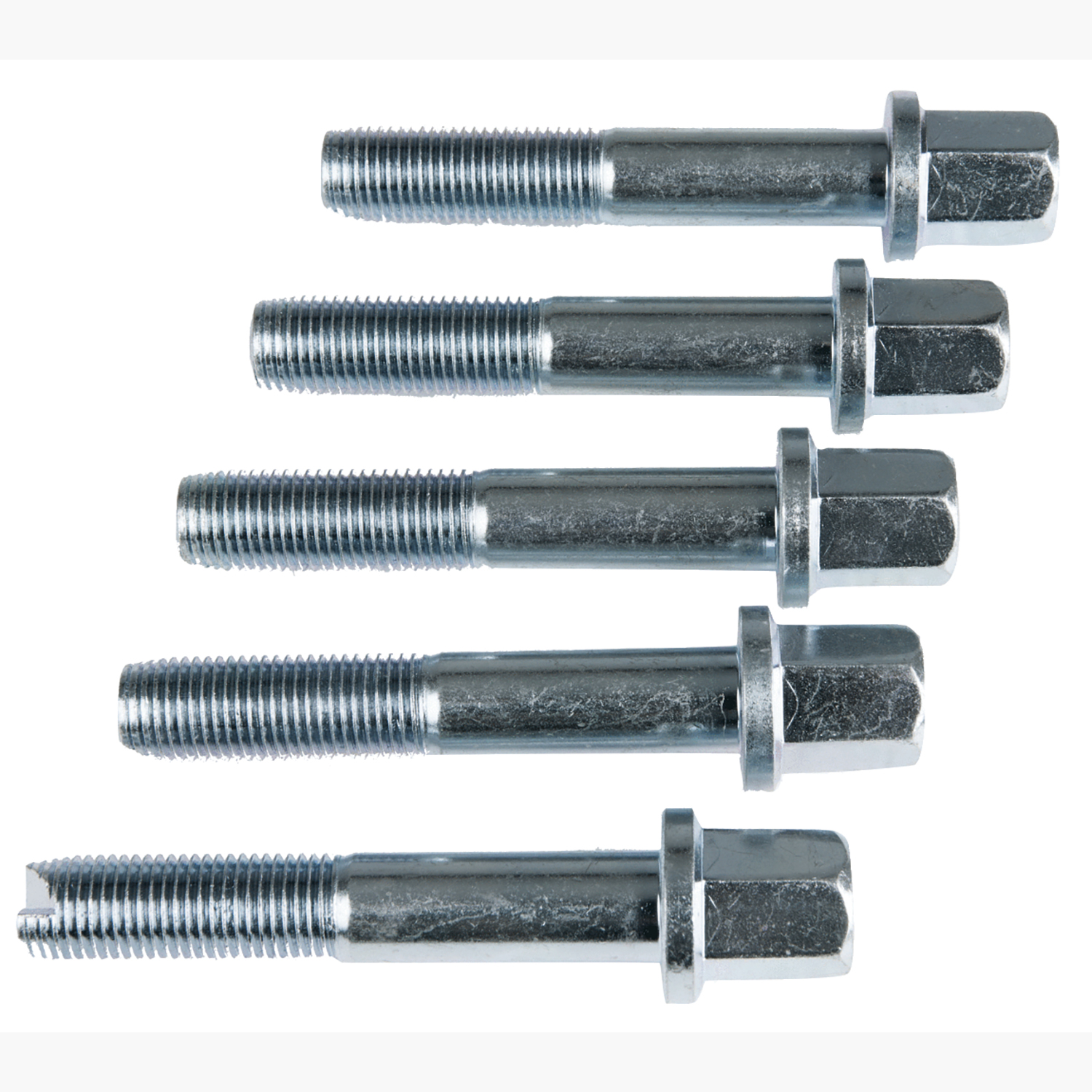 FOT_PRO_ALG_AUTO_700.1483_SALL_AING_V1