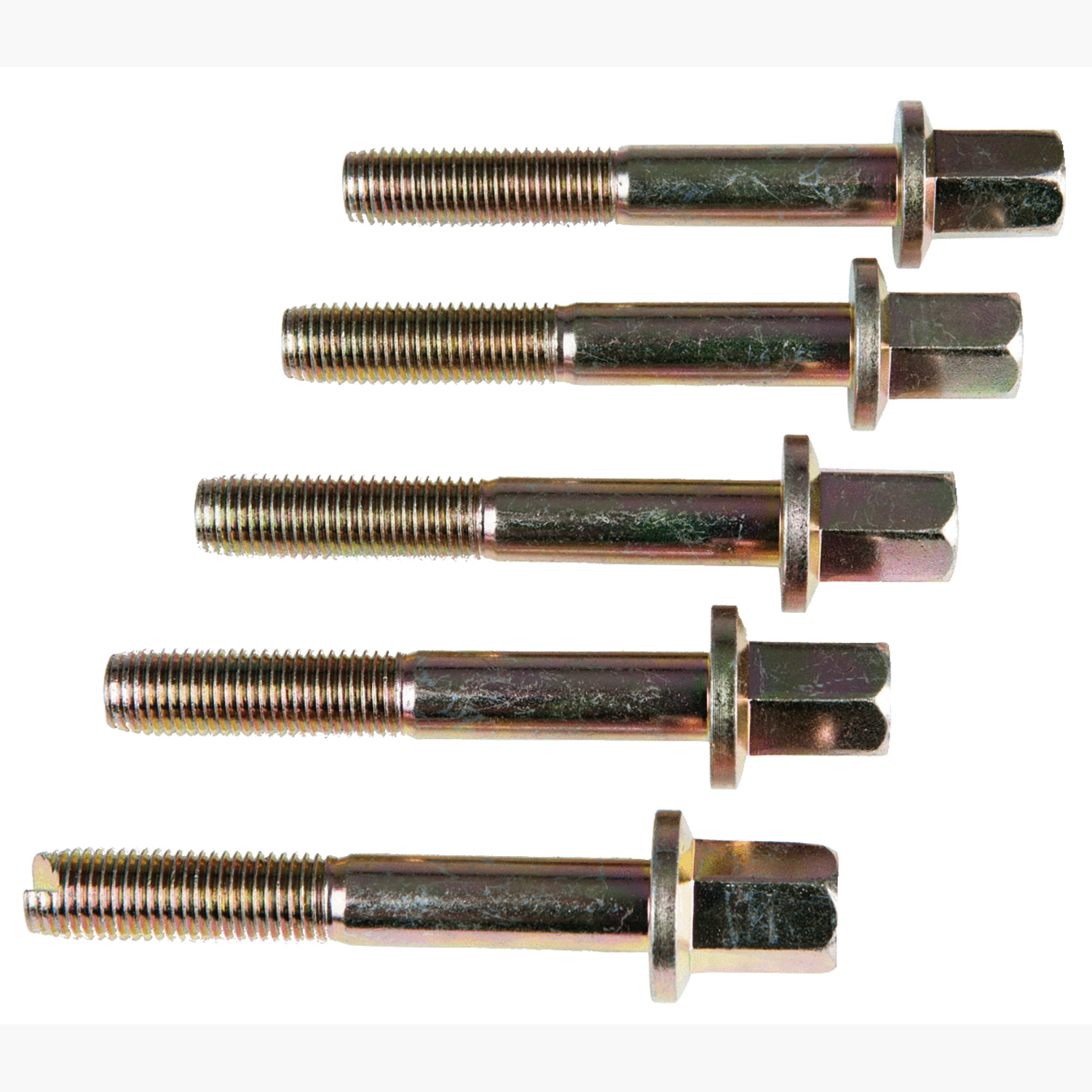 FOT_PRO_ALG_AUTO_700.1482_SALL_AING_V1